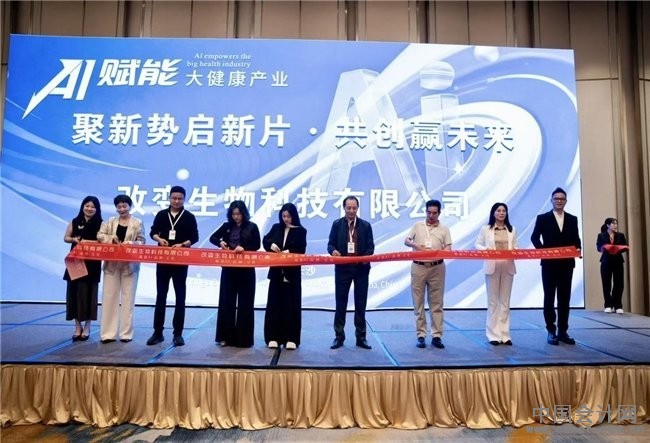 �渻�����ͷ�AI�������ܣ����������±��