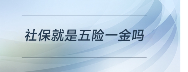 �籣����һ��