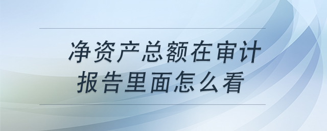 净资产总额查看