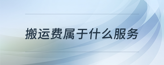 搬运费服务类型归属