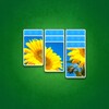 Solipics Icon