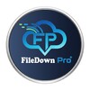 File Down Pro Icon