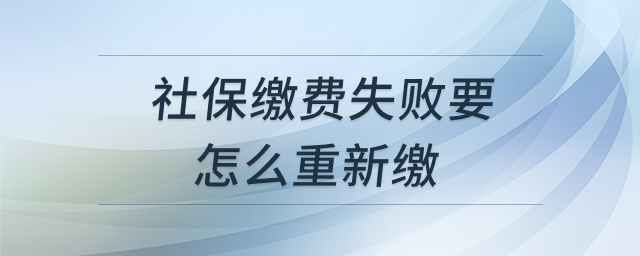 社保缴费指南