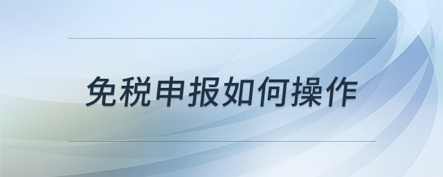 免税申报操作流程