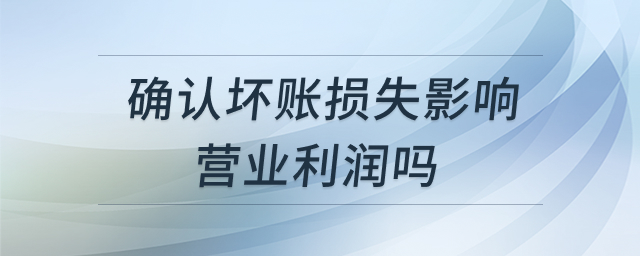 确认坏账损失对营业利润的影响