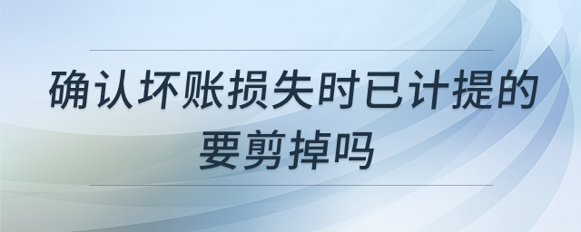 坏账损失处理示意图