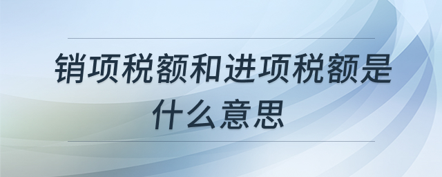 销项税额与进项税额解析