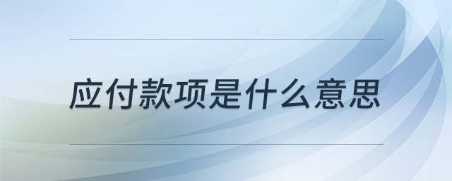 应付款项财务示意图