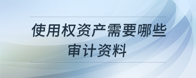 使用权资产审计