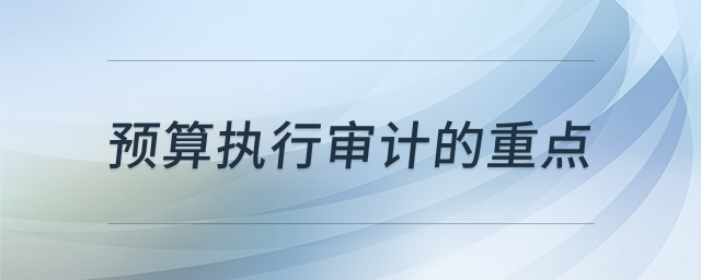 预算执行审计重点