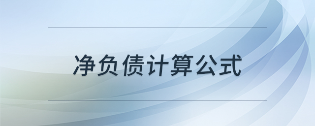 净负债计算公式示意图